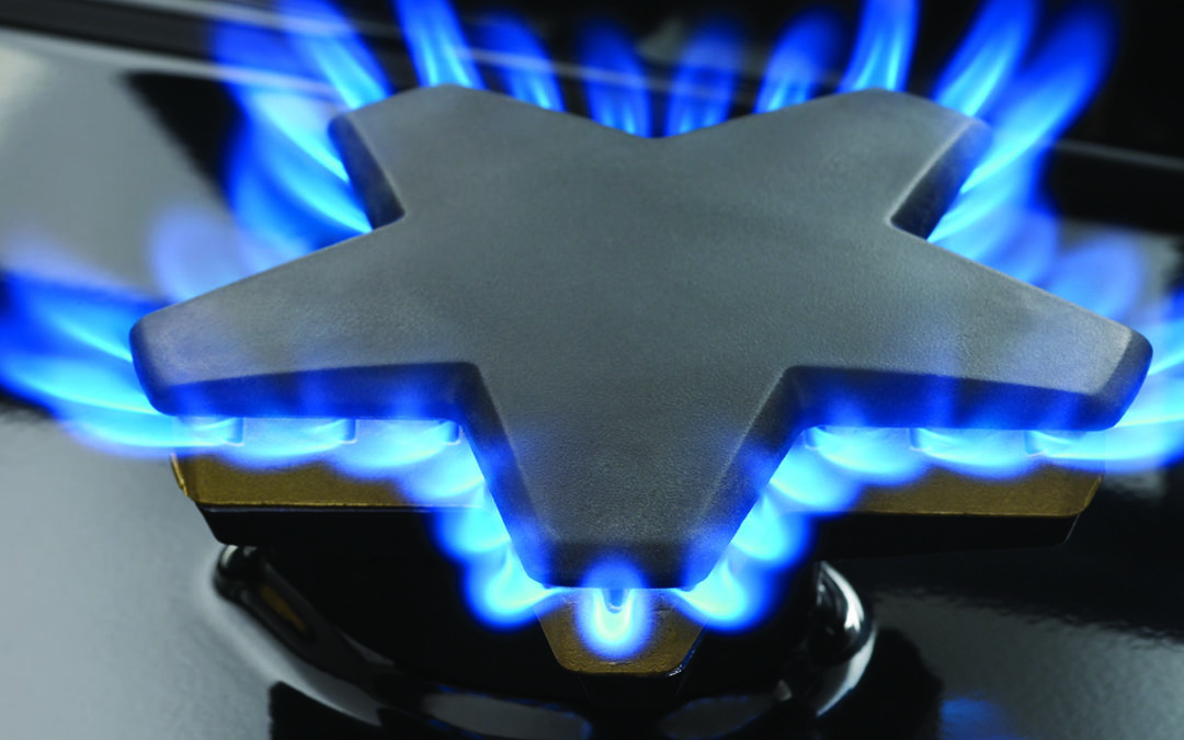 Taming the Flame: Why Homeowners Love These Gas Burners